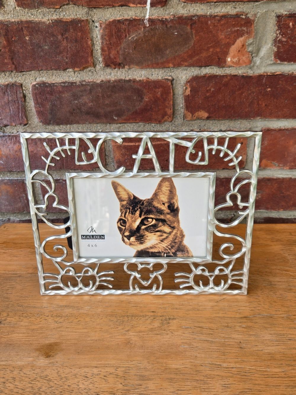 Cat Frame Kitty Face Mouse Wiskers Steel 4 x 6